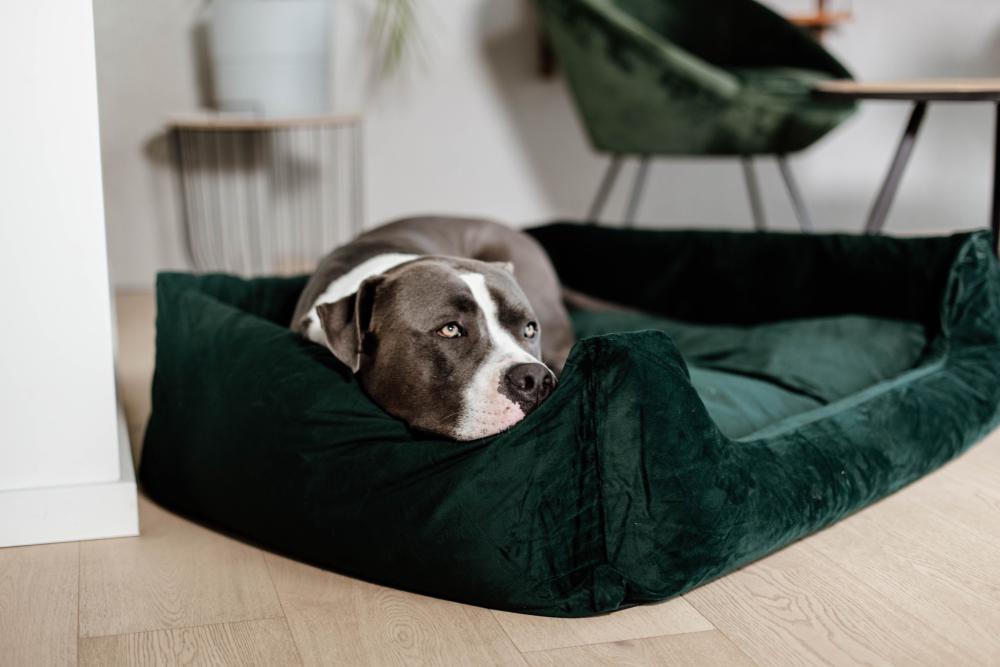 KENTUCKY® DOGWEAR Hundebett aus Samt, tannengrün