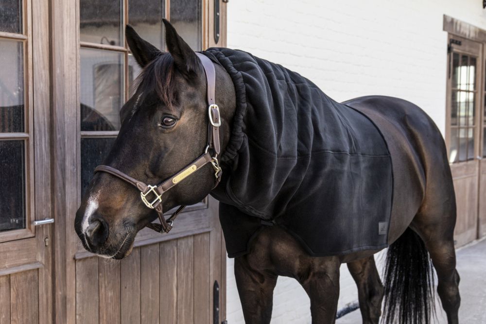 KENTUCKY® HORSEWEAR Heavy Fleece Schal, schwarz