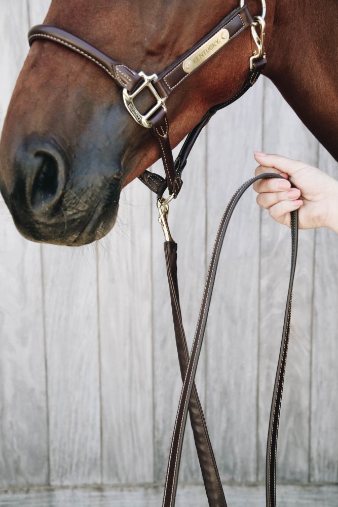 KENTUCKY® HORSEWEAR Führleine