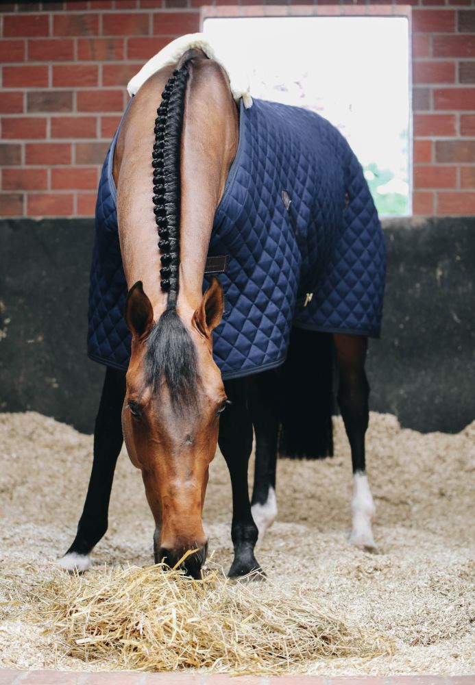 KENTUCKY® HORSEWEAR Stalldecke 400 g, marine