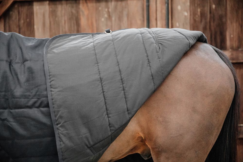 KENTUCKY® HORSEWEAR Stalldecke Classic 100 g, schwarz