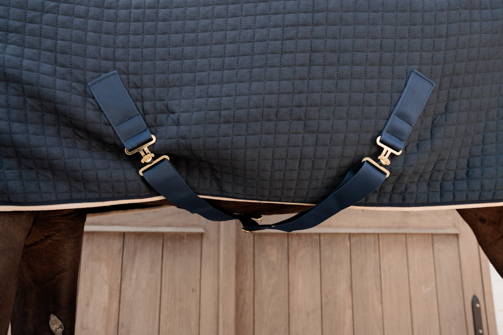 KENTUCKY® HORSEWEAR Abschwitzdecke PROTherm, navy Navyblaue Abschwitzdecke PROTherm mit quadratischer Steppung. Detail der Kreuzbegurtung mit goldfarbenen T-Verschlüssen.