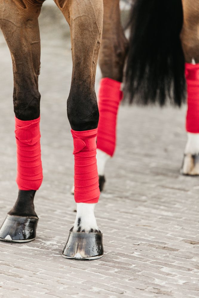 KENTUCKY® HORSEWEAR Fleecebandagen Velvet, 4er-Set, rot