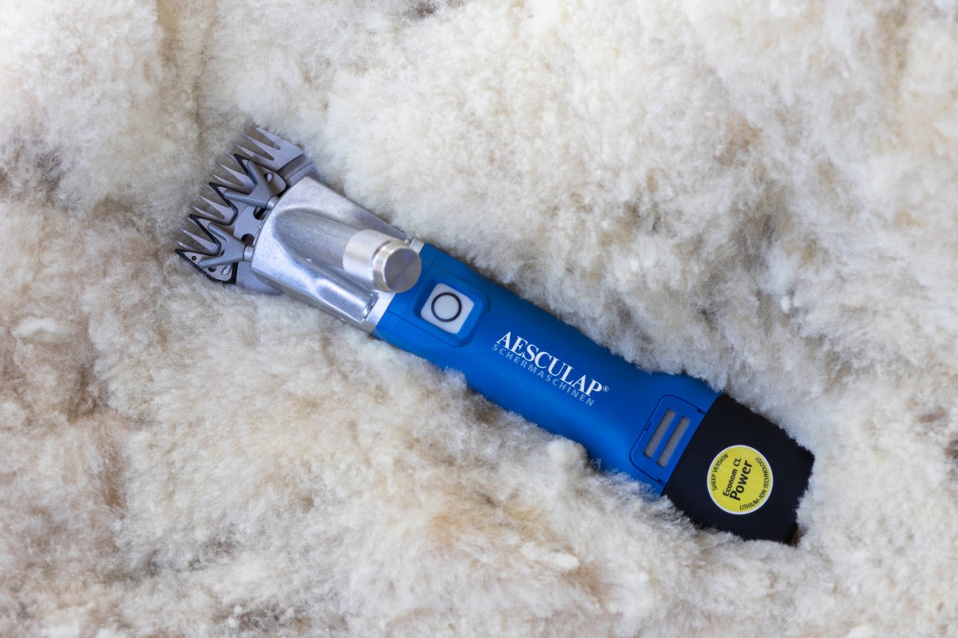 Blaue Aesculap Econom CL Akkuschermaschine für Schafe mit silbernem Scherkopf liegt auf einem Haufen weißer Schafwolle.