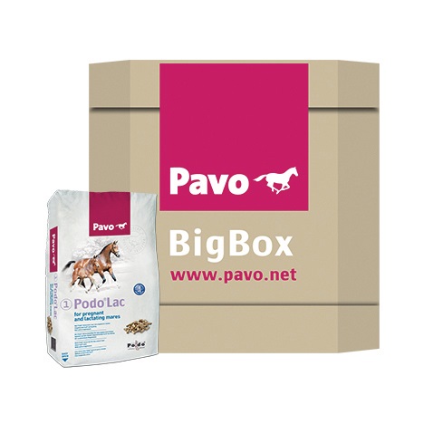 PAVO Podo®Lac BigBox