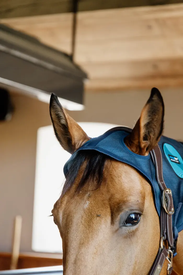 KENTUCKY® HORSEWEAR Magnetic Recuptex Nackenschutz 