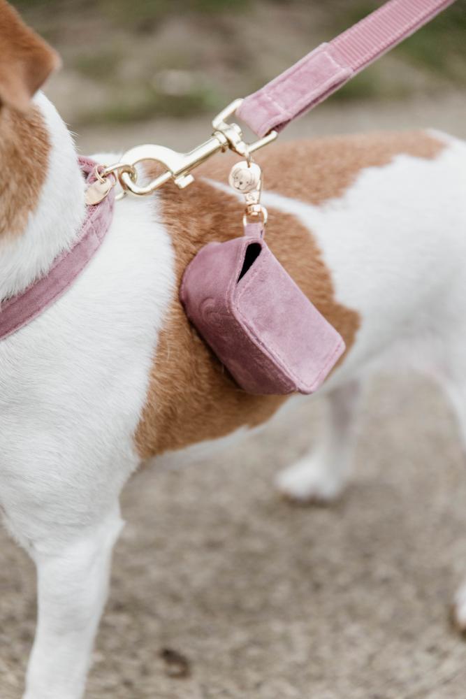 KENTUCKY® DOGWEAR Hundekotbeutelhalter Square, altrosa