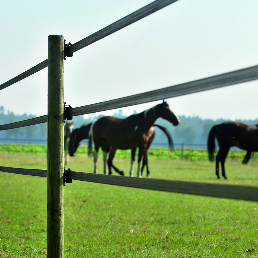 GALLAGHER PowerLine-Breitband 40 mm, terra (200 m)
