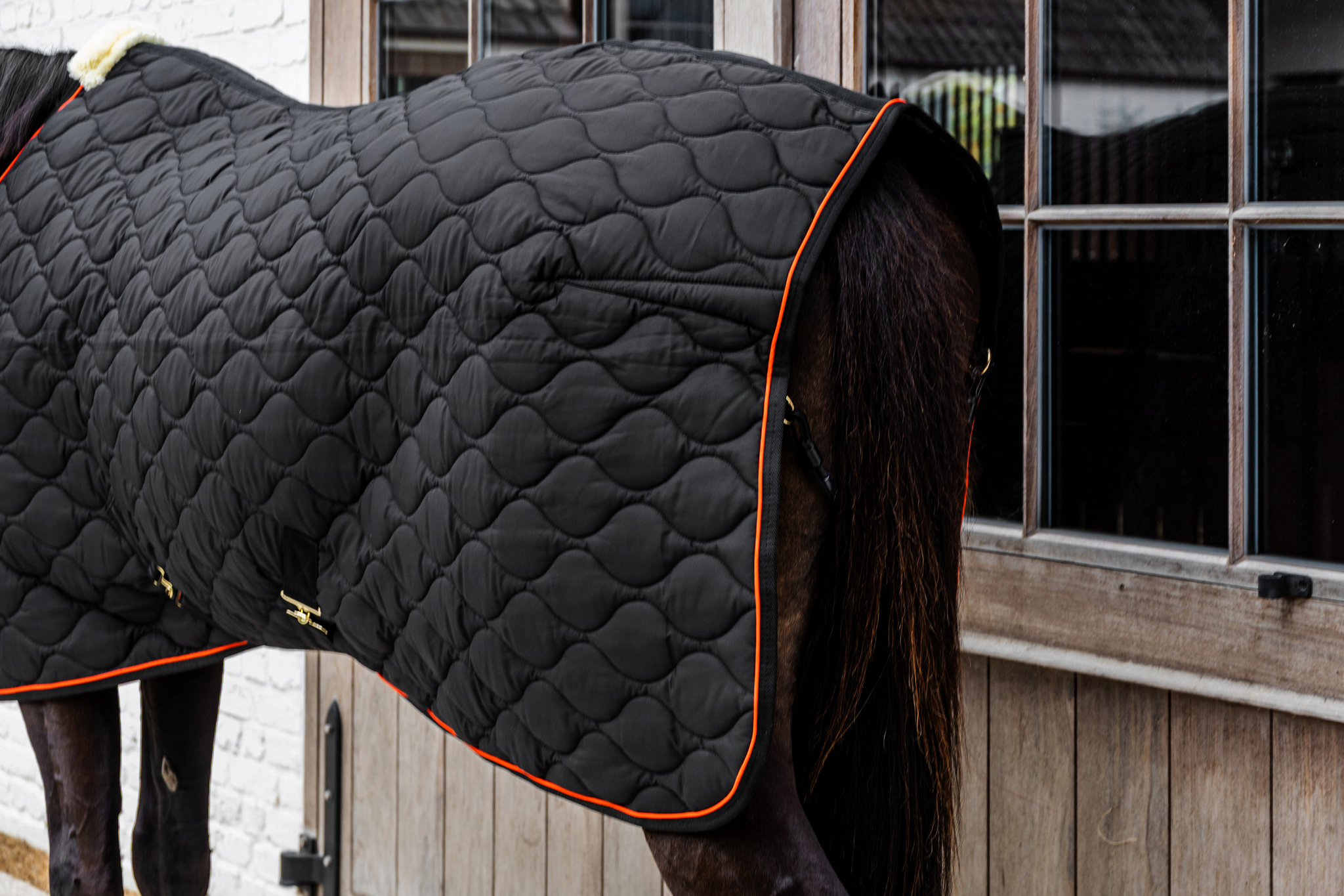 KENTUCKY® HORSEWEAR Stalldecke Wave 160g, schwarz Schwarze Stalldecke Wave mit wellenförmiger Steppung und orangefarbener Paspel auf dem Rücken eines Pferdes.
