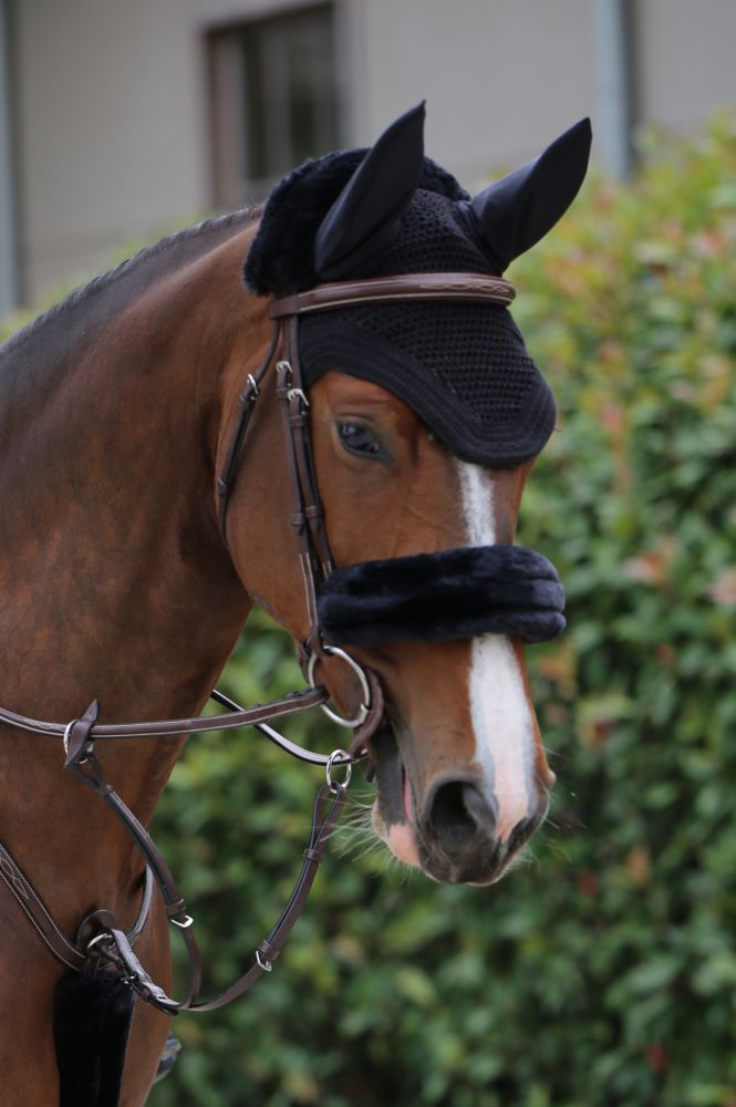 KENTUCKY® HORSEWEAR Schaffell-Nasenriemenschoner, schwarz