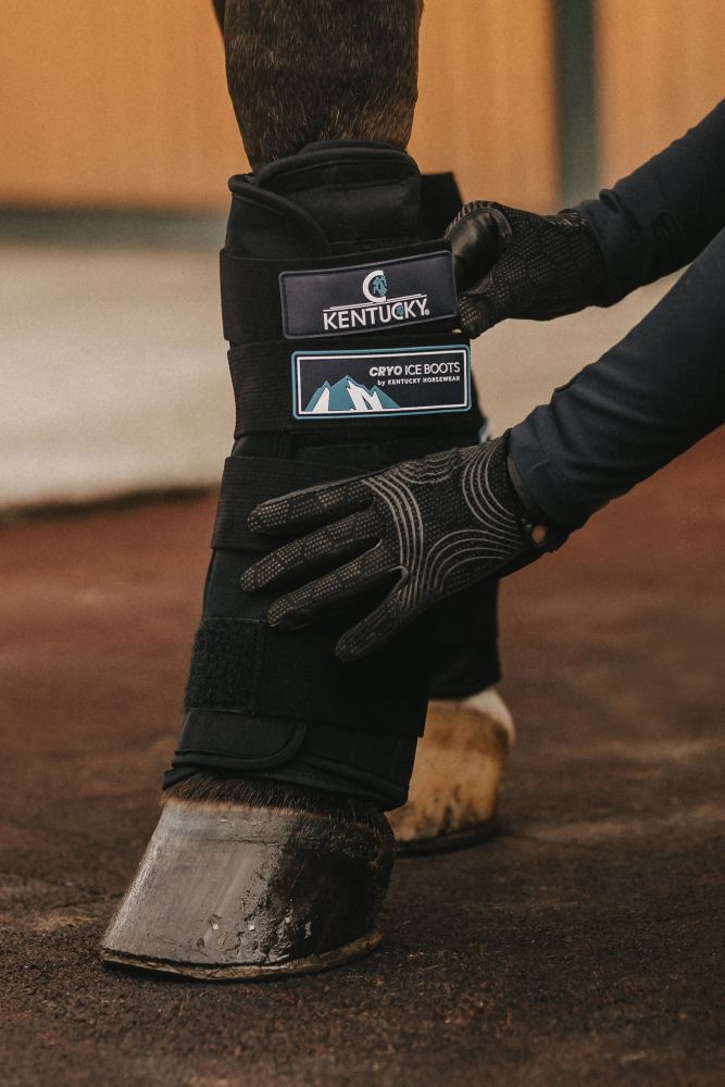 KENTUCKY® HORSEWEAR Kühlgamaschen Cryo Ice Boots