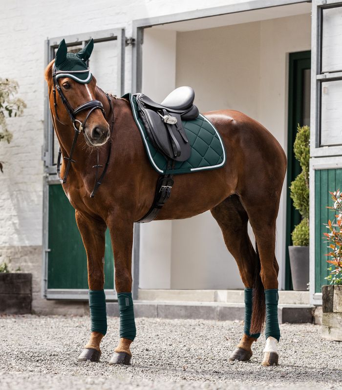 WALDHAUSEN Competition Dressur Schabracke in Tannengrün am Pferd, kombiniert mit passender Fliegenhaube und Bandagen.