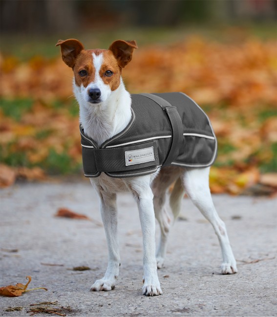 WALDHAUSEN Comfort Hundedecke, 200g