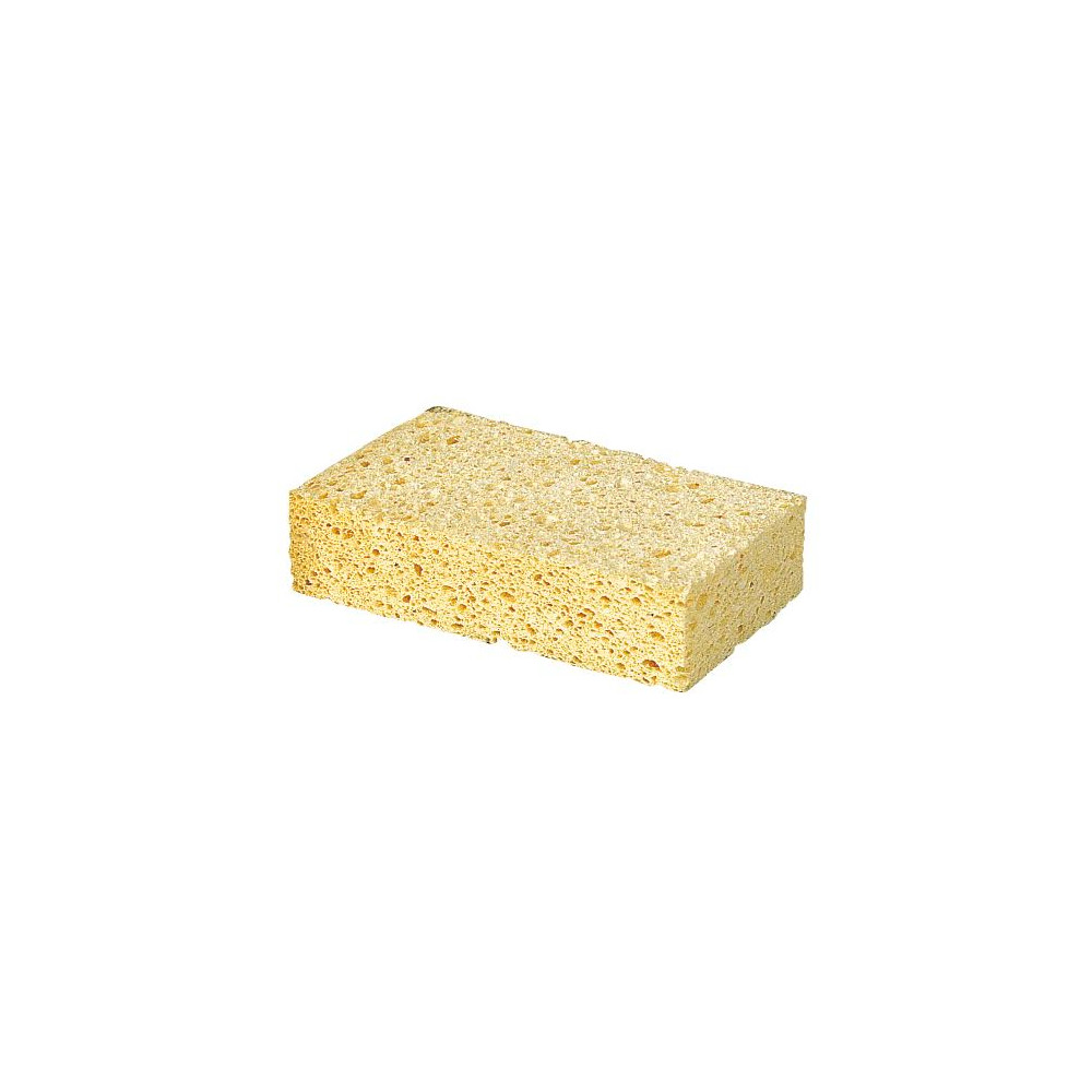 Schwamm