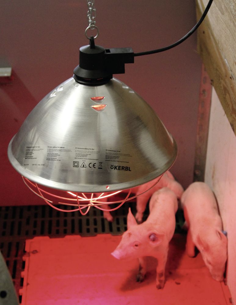 KERBL Infrarot-Wärmestrahlgerät - Durchmesser 35 cm