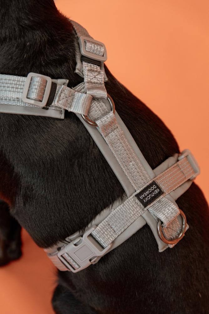 KENTUCKY® DOGWEAR Hundegeschirr Aktiv reflektierend, silber