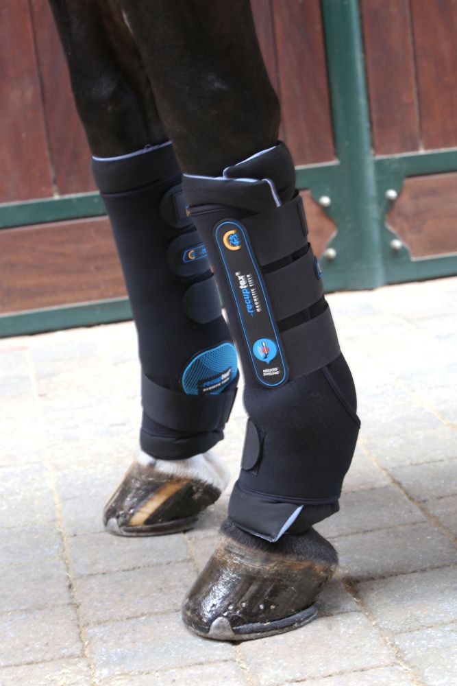 KENTUCKY® HORSEWEAR Magnetic Recuptex Stallgamasche