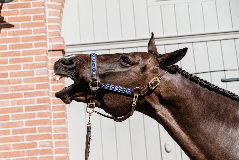 KENTUCKY® HORSEWEAR Pearls Halfter, blau