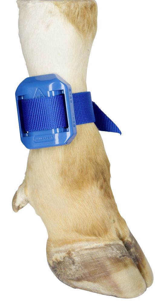 Fesselband für Pedometer