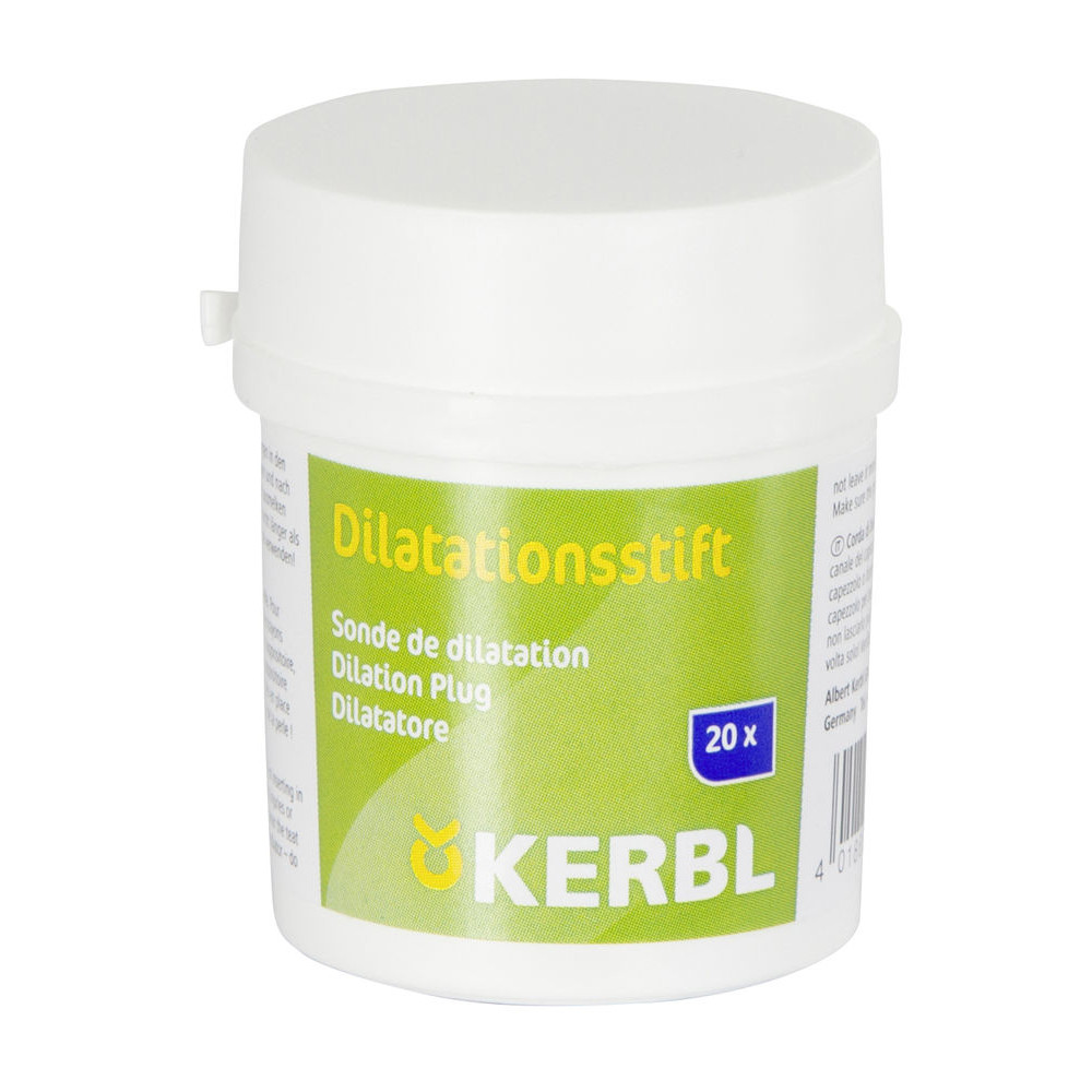 Dilatationsstift