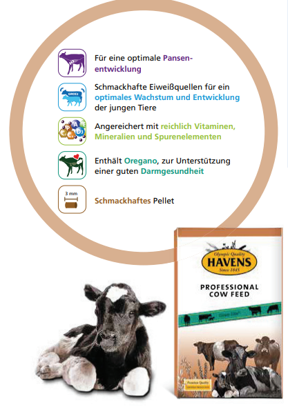 HAVENS COW Junior+ 