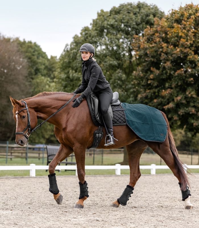 Eine Reiterin auf einem braunen Pferd mit der petrolblauen Regen-Nierendecke Salzburg auf einem Reitplatz.