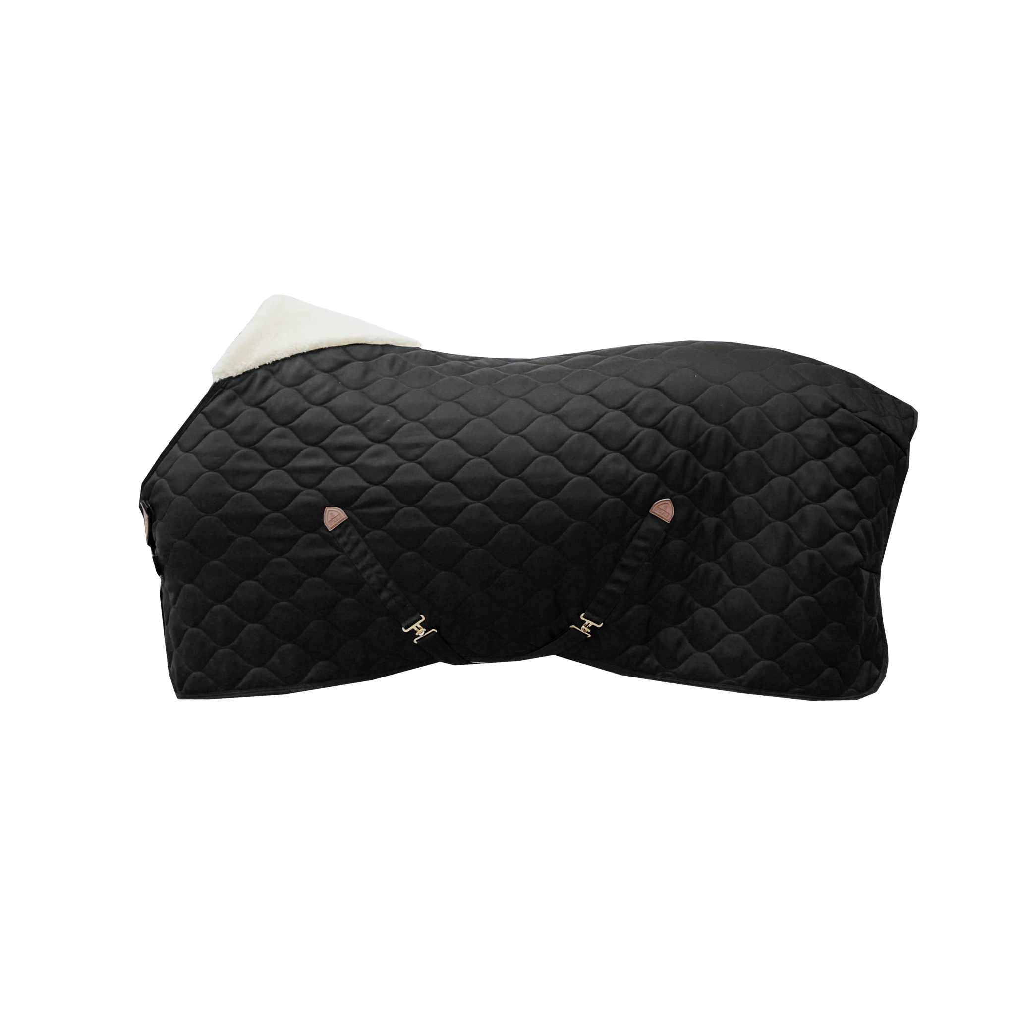 Schwarze, gesteppte Stalldecke Comfort mit weichem, weißem Kragen und goldenen Verschlüssen, flach liegend.