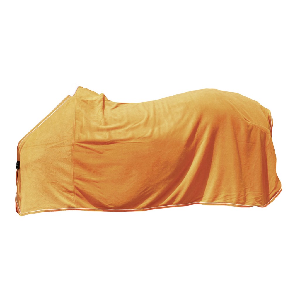 Abschwitzdecke