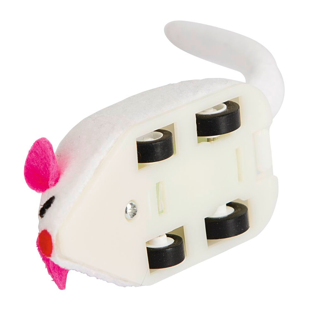 Rennmaus Speedy
