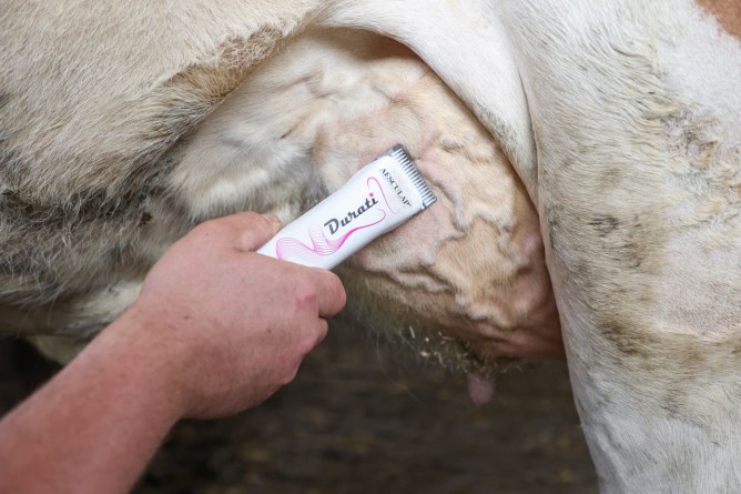 AESCULAP Akkuschermaschine Durati ProWhite mit Scherkopf GT330