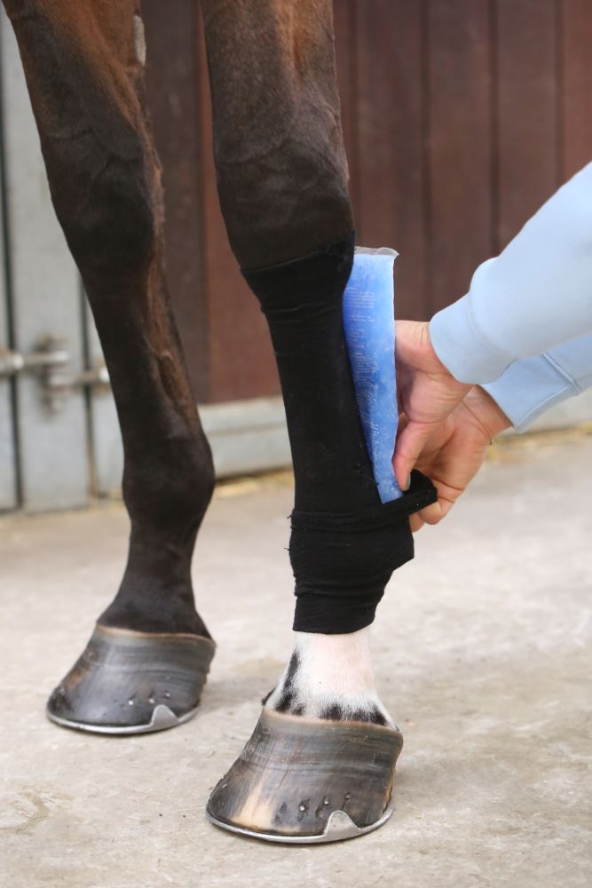 KENTUCKY® HORSEWEAR Tenton Grip Bandagenstrumpf, schwarz