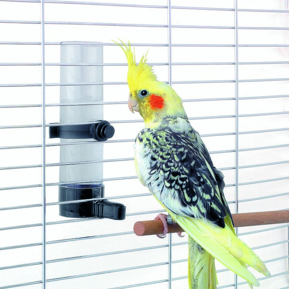Wasser- und Futterautomat für Vögel