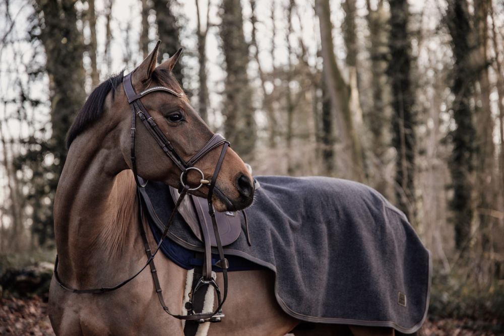 KENTUCKY® HORSEWEAR Ausreitdecke Heavy Fleece, dunkelgrau