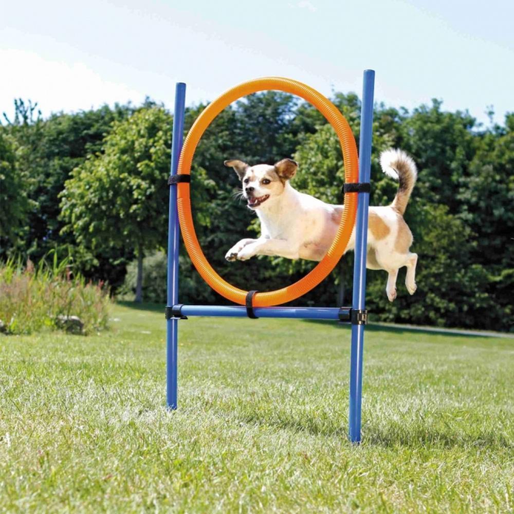 TRIXIE Agility Ring Set, orange/blau