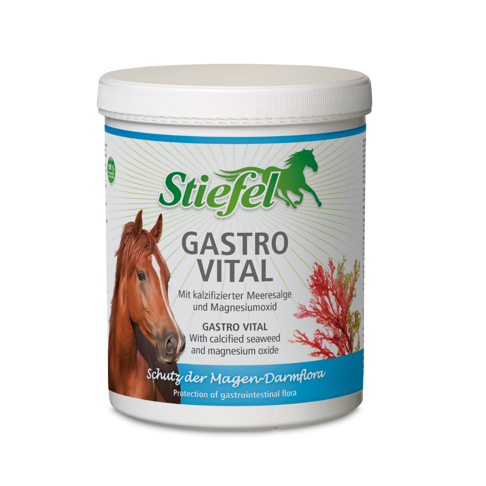 STIEFEL GASTRO VITAL