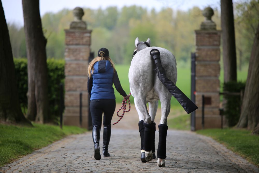 KENTUCKY® HORSEWEAR Schweifschutz