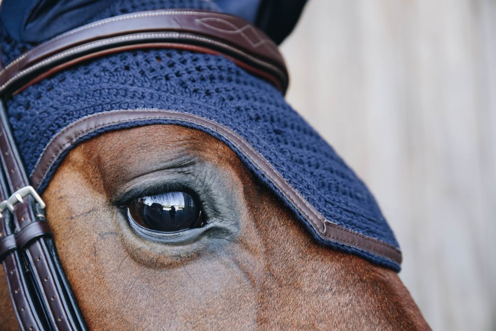 KENTUCKY® HORSEWEAR Fliegenhaube Wellington Leder Soundless, marine