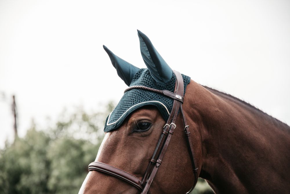 KENTUCKY® HORSEWEAR Fliegenhaube Wellington Cord, pinien-grün