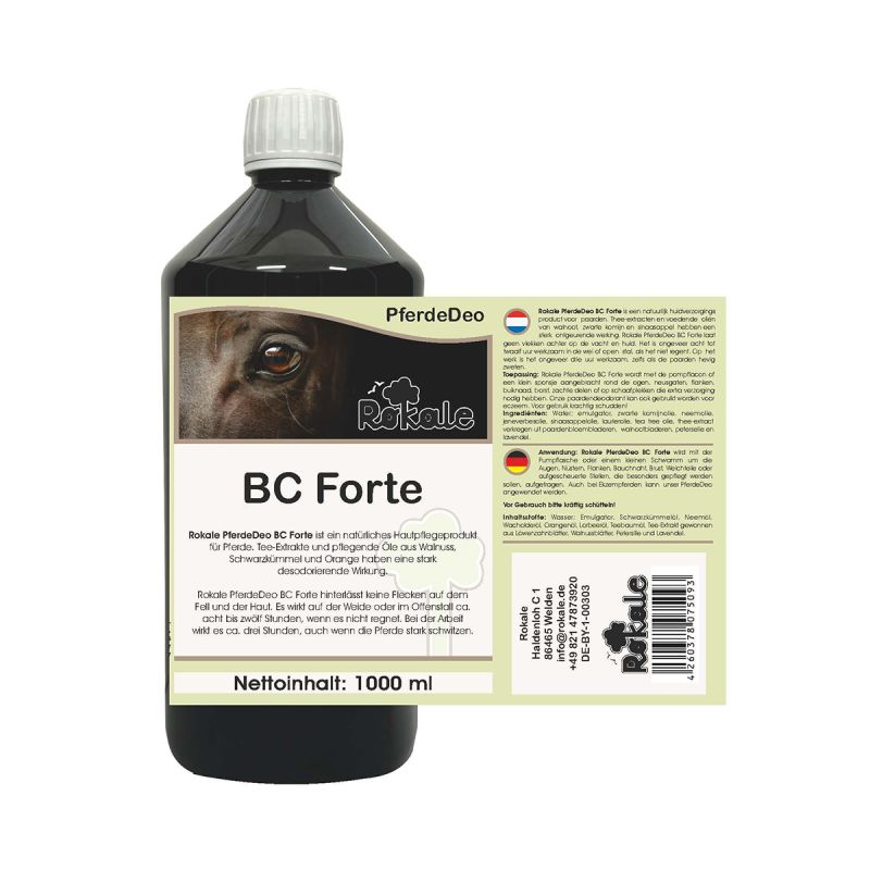 ROKALE BremsenClean BC forte