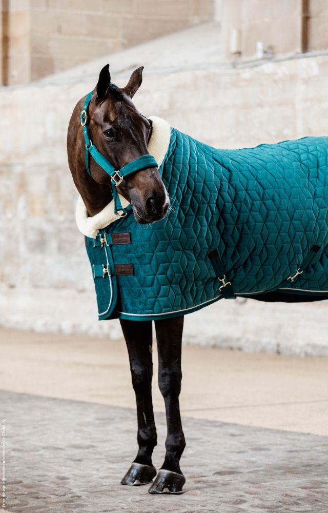 KENTUCKY® HORSEWEAR Velvet Halfter, smaragdgrün