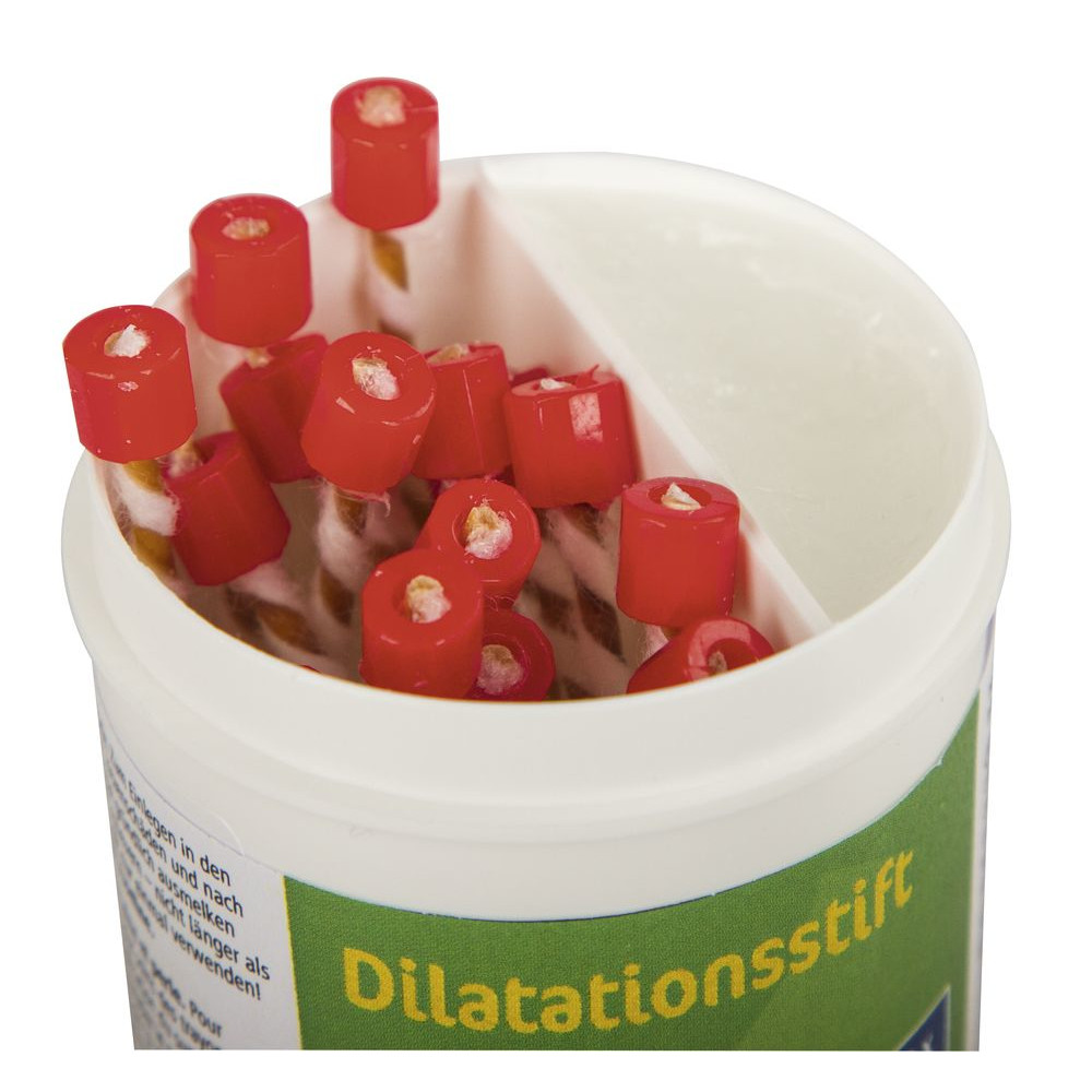 Dilatationsstift