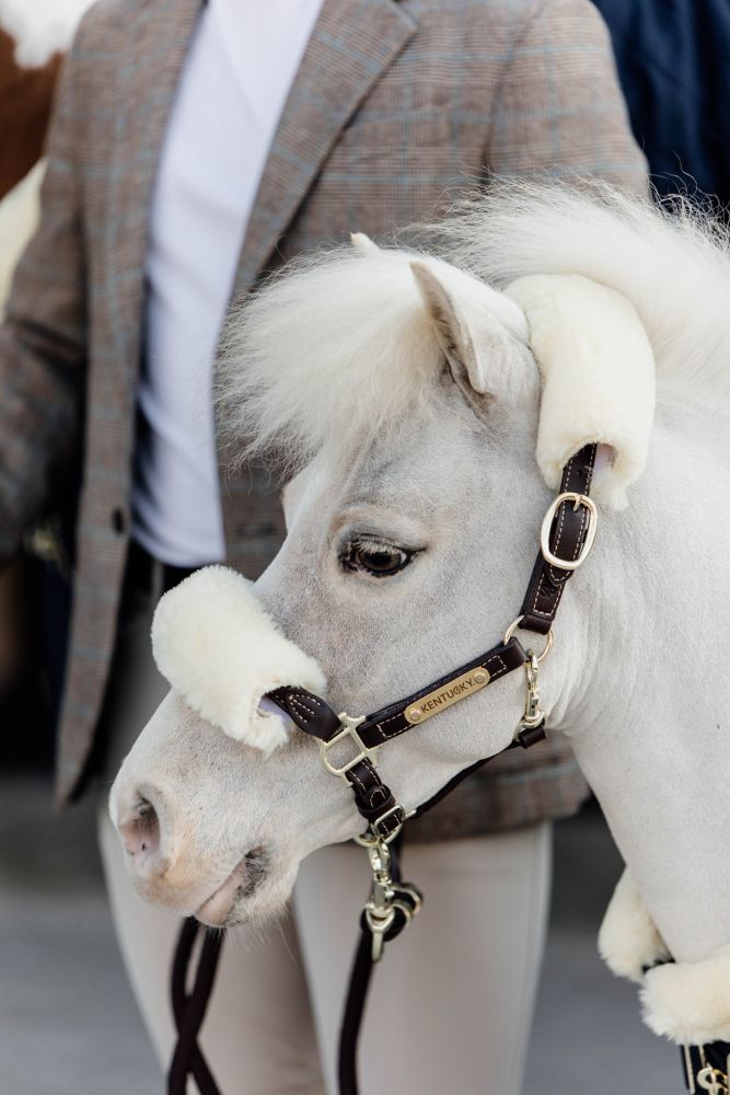 KENTUCKY® HORSEWEAR Pony-Lederhalfter mit Schaffell