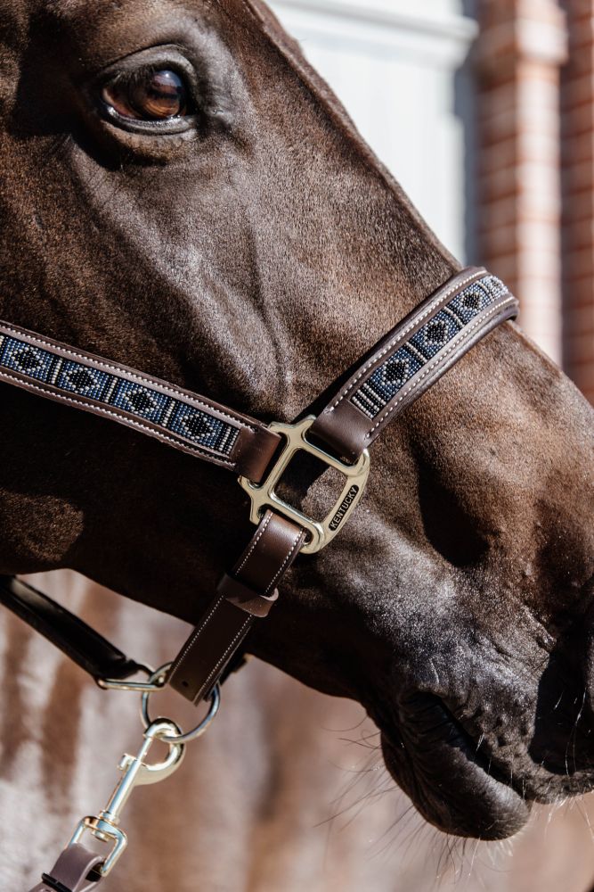 KENTUCKY® HORSEWEAR Pearls Halfter, silber