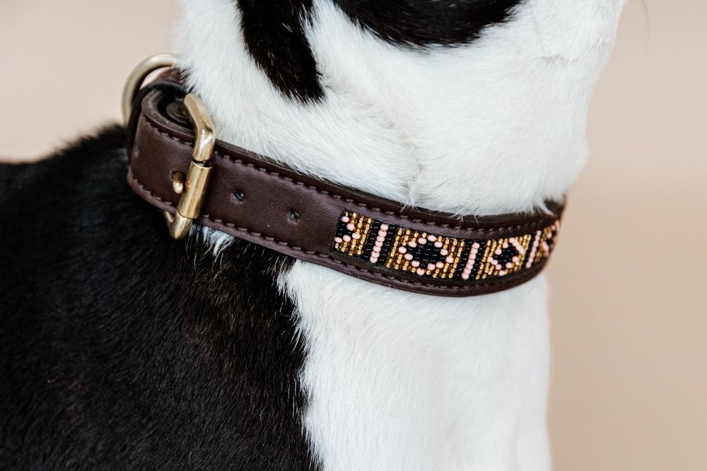 KENTUCKY® DOGWEAR Hundehalsband Pearls, gold