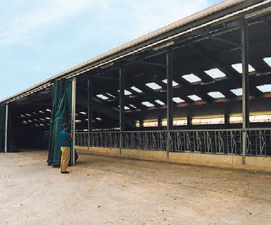 PATURA Windschutzvorhang 19 Meter Breite