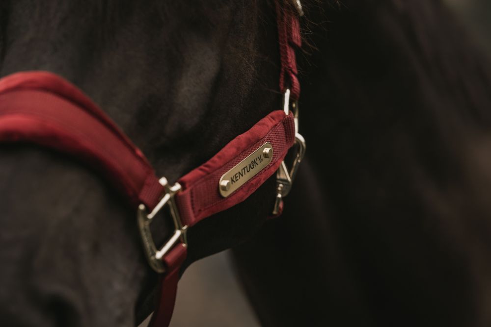 KENTUCKY® HORSEWEAR Velvet Halfter, bordeaux