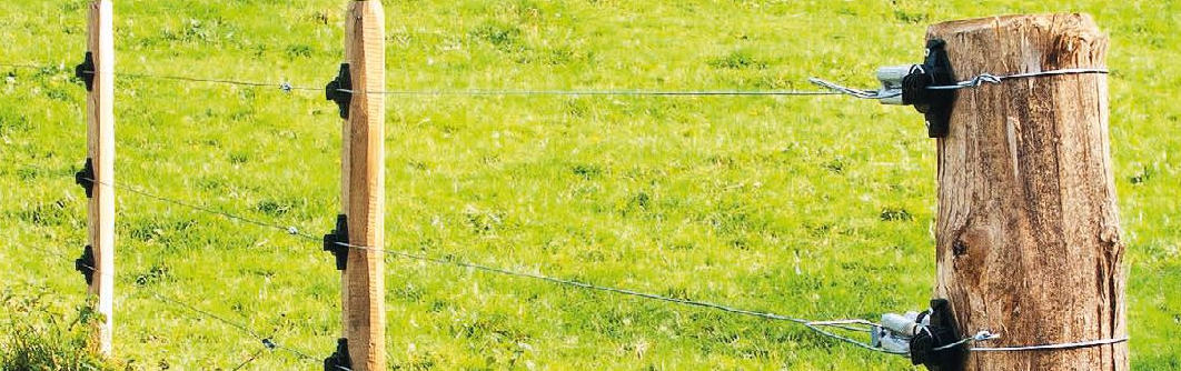 PATURA Robinienpfahl, halbiert für Weidezaun (Streckenpfahl)