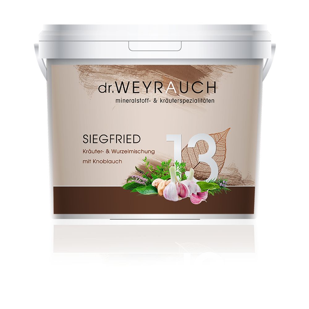 DR.WEYRAUCH Nr. 13 Siegfried für Pferde
