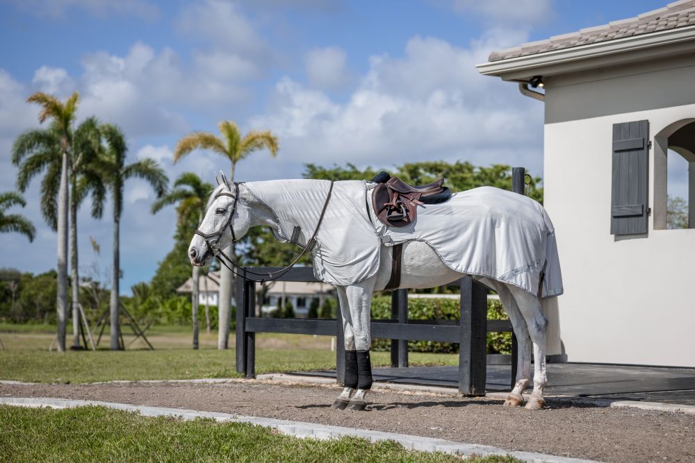 HORSEWARE® Amigo® Flyrider, silver/titanium