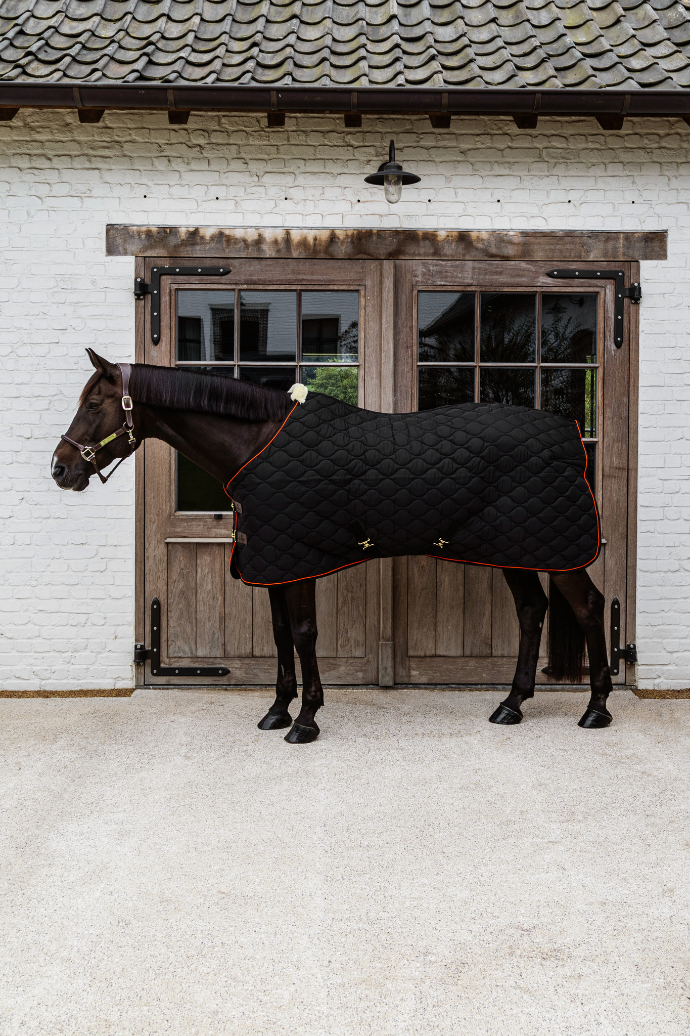 KENTUCKY® HORSEWEAR Stalldecke Wave 160g, schwarz Schwarze Stalldecke Wave mit Wellensteppung und oranger Zierkordel an einem braunen Pferd in der Seitenansicht.